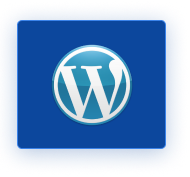 Wordpress Icon